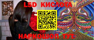 jwh Краснодар