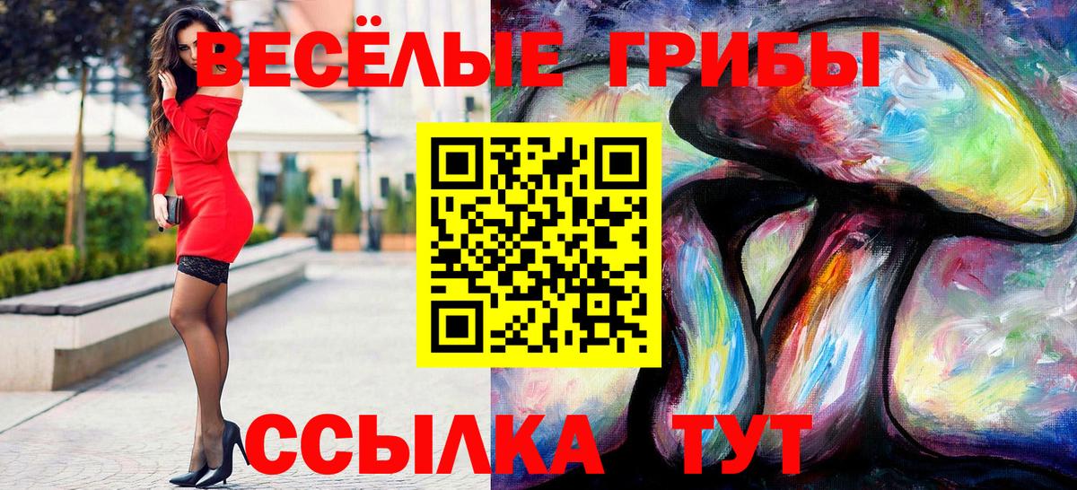 Галлюциногенные грибы ЛСД Буйнакск